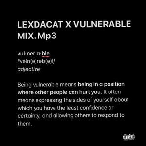 VULNERABLE MIX (Explicit)