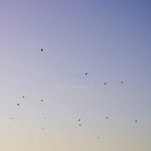 Luh (Misc.Inc Remix)