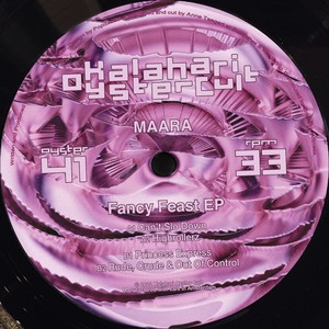 Can't Slo Down (Inst.)