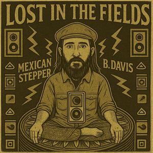 Lost in the Fields (feat. B. Davis)