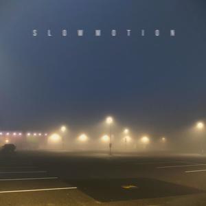 Night Animals (feat. Till Wild) (Slowed & Reverb)