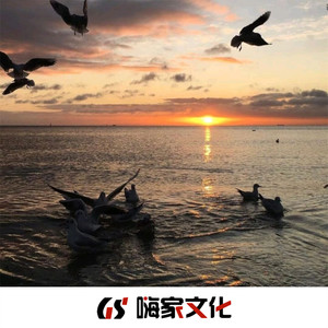 达则森林 - SomeoneYouLoved (Remix)