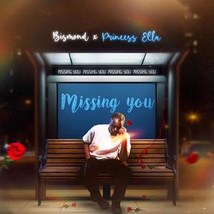 Missing You (feat. Princess Ella)