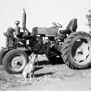 GEM 2: Lung metraj side B (exercis)