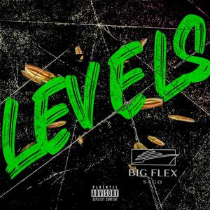 Levels (feat. BIGFLEX SAGO) [Explicit]