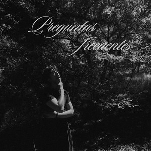 Preguntas Frecuentes