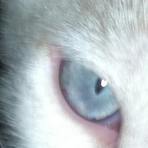 Headlock Mixx (Ultra Slowed)