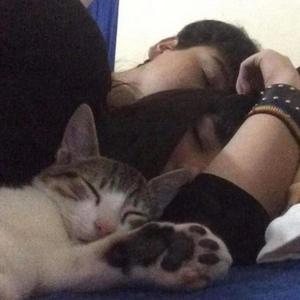 Te Ame (feat. Lil Star)