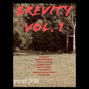 Brevity, Vol. 1 (Explicit)