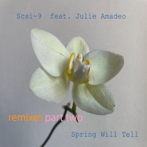 Spring Will Tell (Wareika Remix)