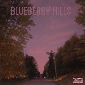 Blueberry Hills