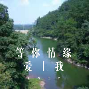 DJ丫海 - 对不起 我爱你 (DJ版)