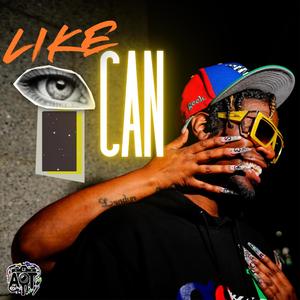 Like I Can (feat. T Royal) (Explicit)