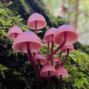 Live & on the fly (Live)