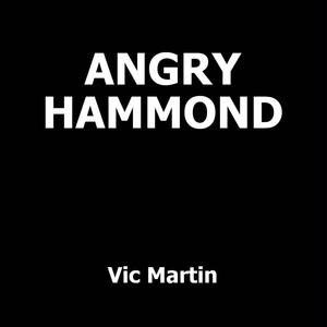 ANGRY HAMMOND