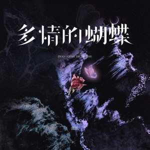多情的蝴蝶