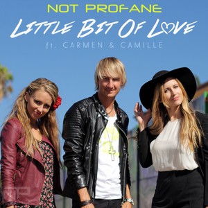 Little Bit Of Love (Not Profane Extended Remix)