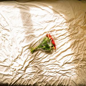 Alles Wat ik Wil (feat. Hannah & Janna) (Explicit)