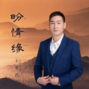 盼情缘 (DJ阿能Remix)