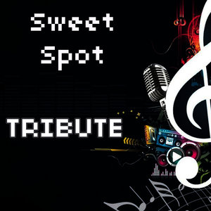 Sweet Spot (Instrumental Tribute to Flo Rida feat. Jennifer Lopez)