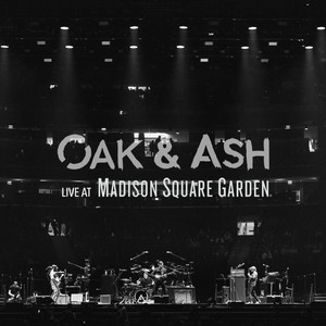 Live at Madison Square Garden