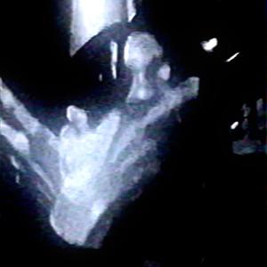 Tyler Durden (feat. 3713 Q) (Explicit)