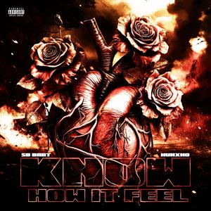 Know How It Feel Pt2 (feat. Hunxho) (Explicit)
