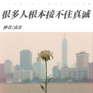 很多人根本接不住真诚