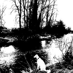 THE BINDING OF ANSELMO (DANGHELL RMX)