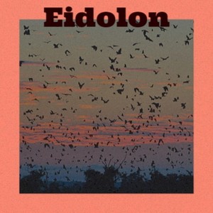 Eidolon