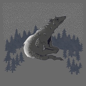 супер-бродяга