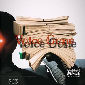 Voice Gone (Explicit)