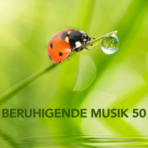 Beruhigende Musik 50 - Meditation, Mentales Training, Autogenes Training, Transzendentale Meditation und Yoga Musik