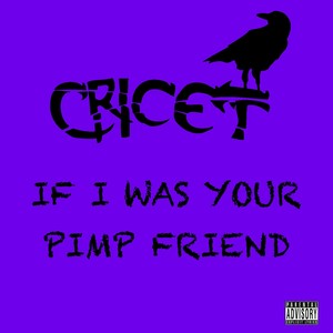 Cricet - If I Was Your **** Friend (Explicit)