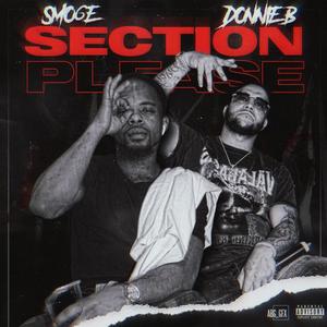 SECTION PLEASE (Explicit)