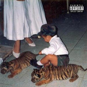 Cegados Por La Luz/Blinded By The Light (Explicit)