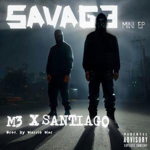 SAVAG3 (Explicit)