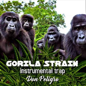 GORILA STRAIN Instrumental Trap