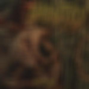 Unsanitary Conditions