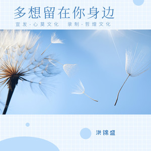 多想留在你身边