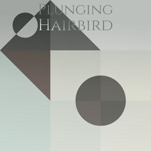 Plunging Hairbird