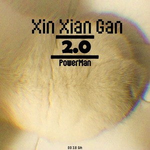 新鲜感2.0封面