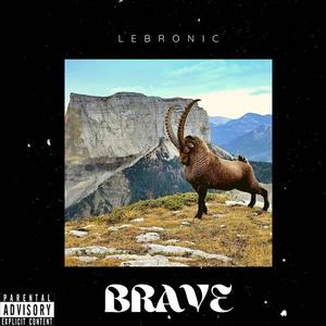 Brave(feat. INEEDKANDY) (Explicit)