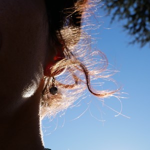 Paloma Negra