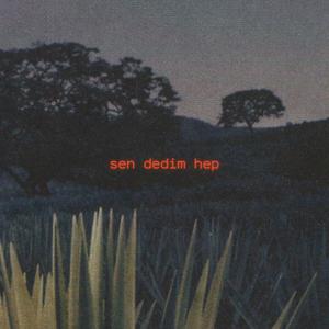 Sen Dedim Hep (feat. Taladro)