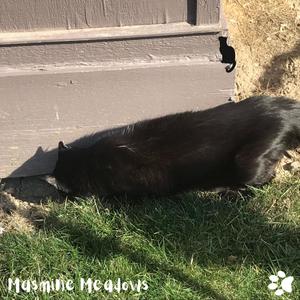 Outside for thee first time (feat. Sir Couer the Green)