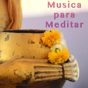 Musica para Meditar - Relajantes Sonidos para Dormir