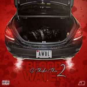 Blood Is Thicker Than Water 2 (Explicit)