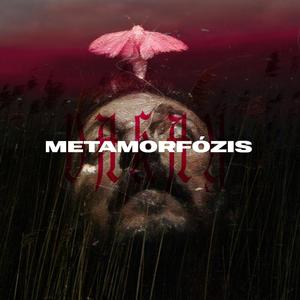 Metamorfózis