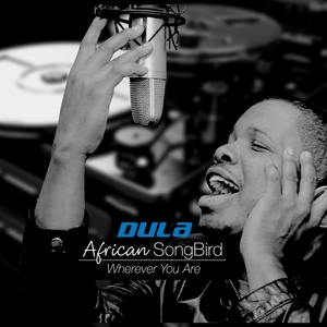 Wherever You Are (African SongBird)